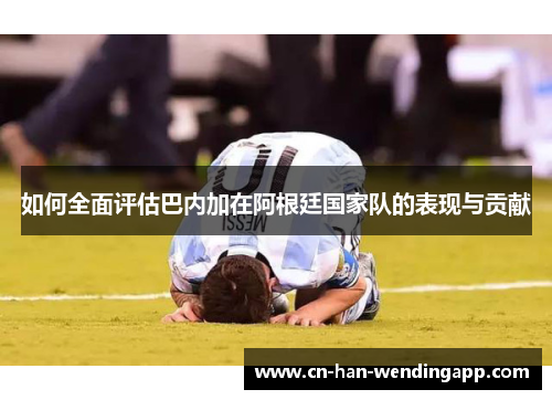 如何全面评估巴内加在阿根廷国家队的表现与贡献