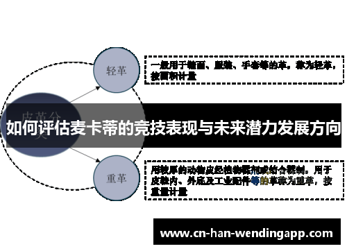 如何评估麦卡蒂的竞技表现与未来潜力发展方向