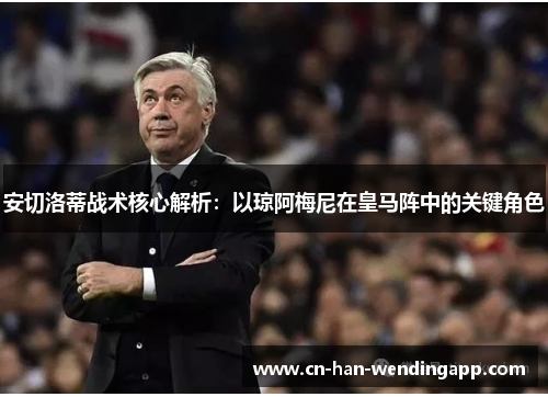 安切洛蒂战术核心解析：以琼阿梅尼在皇马阵中的关键角色