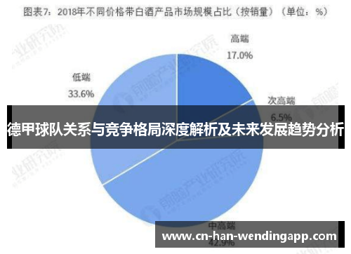 德甲球队关系与竞争格局深度解析及未来发展趋势分析