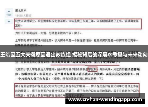 王皓因五大关键原因退出教练组 揭秘背后的深层次考量与未来动向