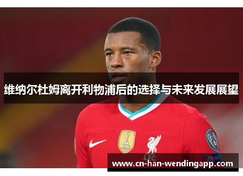 维纳尔杜姆离开利物浦后的选择与未来发展展望