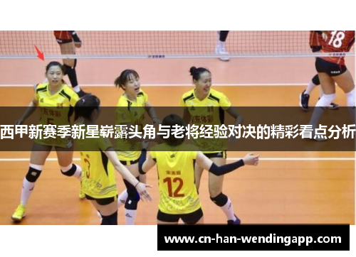 西甲新赛季新星崭露头角与老将经验对决的精彩看点分析